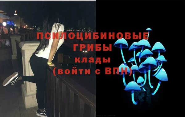 бошки Кулебаки