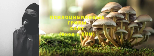 MDMA Premium VHQ Ладушкин
