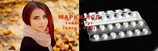 соль ск Кукмор