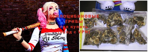герыч Куйбышев