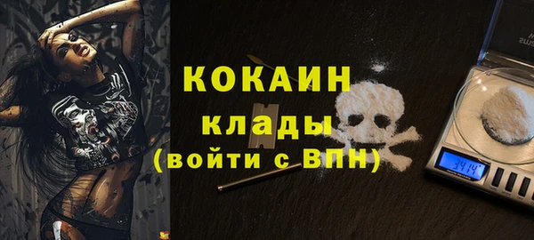 соль ск Кукмор