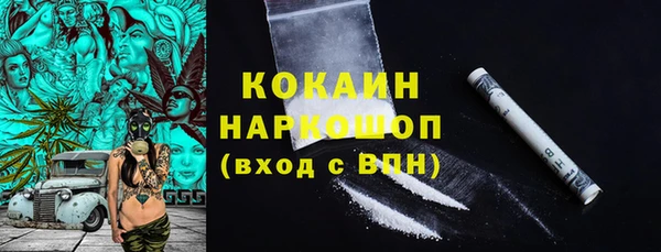 соль ск Кукмор